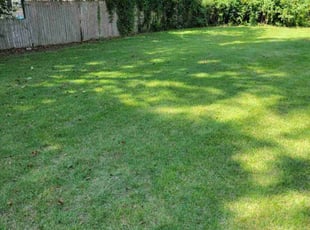 Djamel C.'s Lawn Service service result