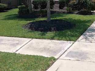 Emily C.'s Lawn Care service result