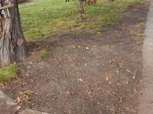 Leaf Removal by Derrek Fisher for Ryan M. in Alto, MI