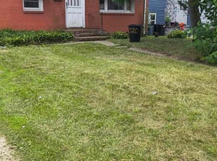 Weeding by Genny Machado for Donnell J. in Westbury, NY