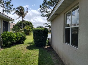 Bush Trimming by Robert Lee for Ivan S. in Venice, FL