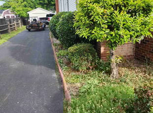 Bush Trimming by Daniel Aldridge for Dawn R. in Kannapolis, NC