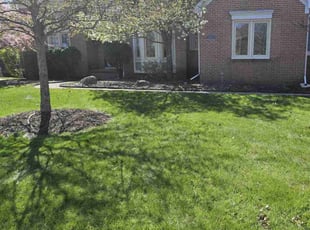 Wendy D.'s Lawn Mowing service result