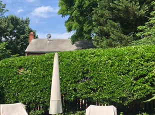 Bush Trimming by Jose M Rodriguez for Jerry H. in Arlington, VA