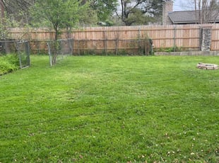 Shelby C.'s Lawn Mowing service result