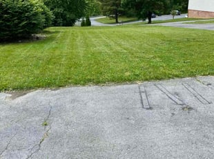 Kristy W.'s Lawn Service service result