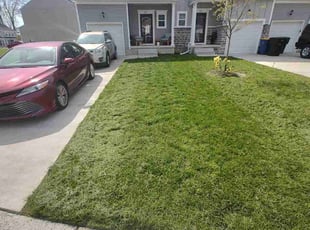 Mary P.'s Lawn Mowing Service service result