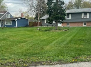 Evette H.'s Lawn Mowing service result