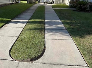 Delores W.'s Yard Cutting service result
