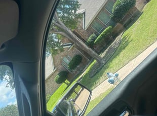 Bush Trimming by Dante Pressley for Dylan M. in Allen, TX