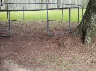 Leaf Removal by Isaac Thomas for Stacy B. in Denham Springs, LA