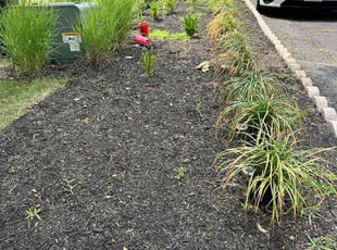 Weeding by Wally Krake for Daniel R. in Ledgewood, NJ