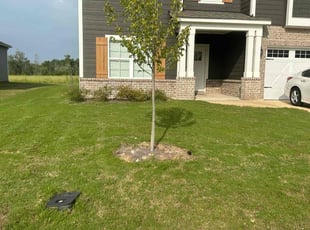 Brian J.'s Lawn Mowing Service service result