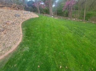 Mia C.'s Lawn Service service result