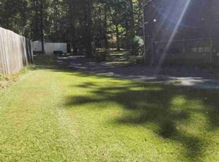 Lee Anne D.'s Yard Cutting service result