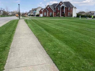 FRANK M.'s Lawn Mowing service result