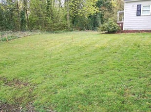 Darrel G.'s Lawn Maintenance service result