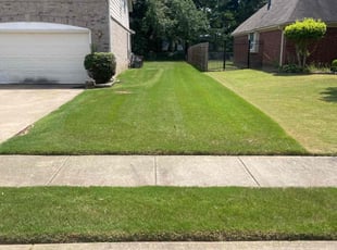 PL S.'s Lawn Care service result