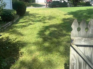 Bush Trimming by Caree Keith for LaToya G. in Washington, DC