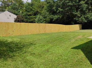 Paul C.'s Yard Cutting service result