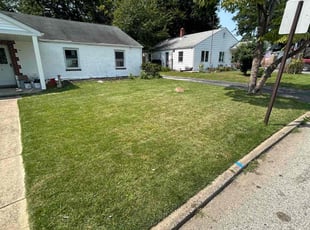 Melody T.'s Lawn Mowing service result