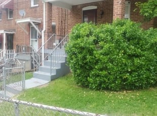 Bush Trimming by Chris Stewart for Tawanna D. in Washington, DC