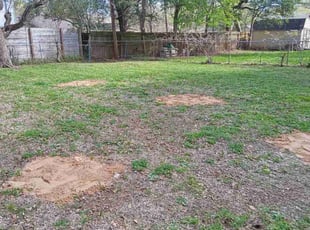 Landscaping by Jamell Mcgee for Pablo T. in Houston, TX