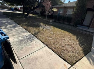 Leaf Removal by Lacy Dixon for Anthony I. in San Antonio, TX