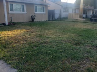 Bush Trimming by Ashok Kumar for Shanae K. in North Highlands, CA