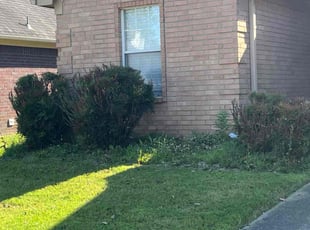 Bush Trimming by Kevin Glenn for Farrah M. in Southaven, MS