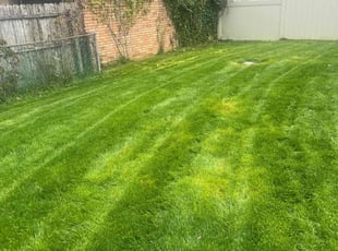 Jakeyla R.'s Lawn Care service result