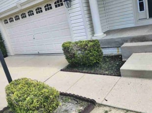 Bush Trimming by Jose Gonzalez for Sharla P. in White Plains, MD