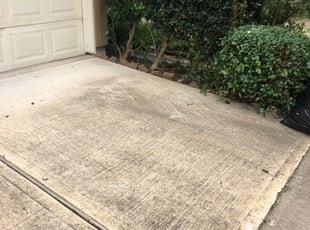 Bush Trimming by Derrick Koontz for Sui Z. in Houston, TX