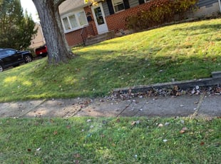 Leaf Removal by Daniel Podin for Kathy S. in Reisterstown, MD