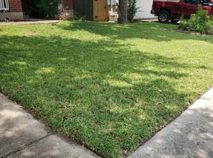 Rosam Usha W.'s Lawn Mowing Service service result