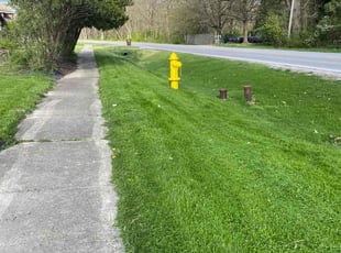 Gretchen G.'s Lawn Maintenance service result