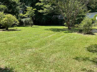 James524369000097 W.'s Lawn Service service result