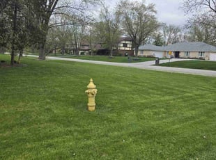freyda s.'s Yard Cutting service result