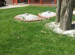 Brad C.'s Yard Cutting service result