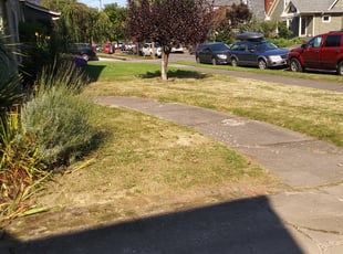Cleanups by Jeffrey Preece for Jacob V. in Portland, OR