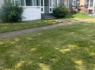 Cyndi C.'s Yard Cutting service result
