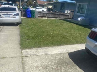 Estella C.'s Lawn Service service result