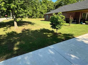 Tolu T.'s Lawn Service service result