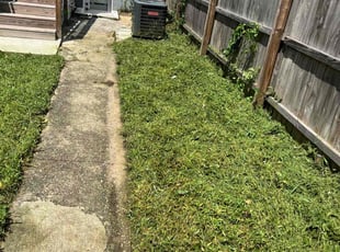 Alison B.'s Lawn Service service result