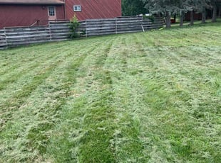 Donald M.'s Lawn Service service result