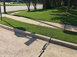 Sudheer K.'s Lawn Mowing Service service result