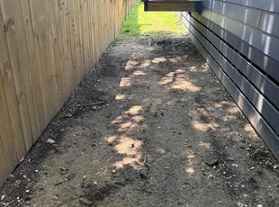 Leaf Removal by Allen Roberto $ for Tiffany C. in New Orleans, LA