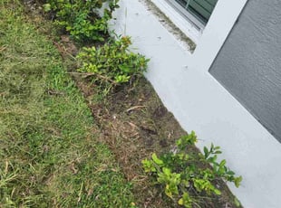 Weeding by Bryan Satchell for joshua s. in Port St. Lucie, FL