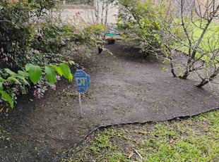 Weeding by Daniel Campos for Alex S. in Humble, TX