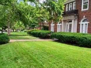 Thomas W.'s Yard Cutting service result